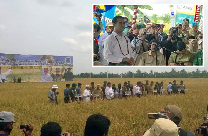 Mentan Pagi Ini Dijadwalkan Panen Raya Padi di Berau, Kaltim